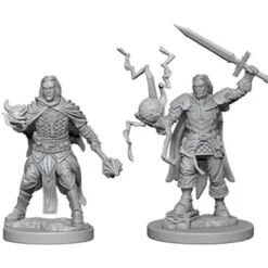 Pathfinder Deep Cuts Miniatures - Chierico Umano Maschio