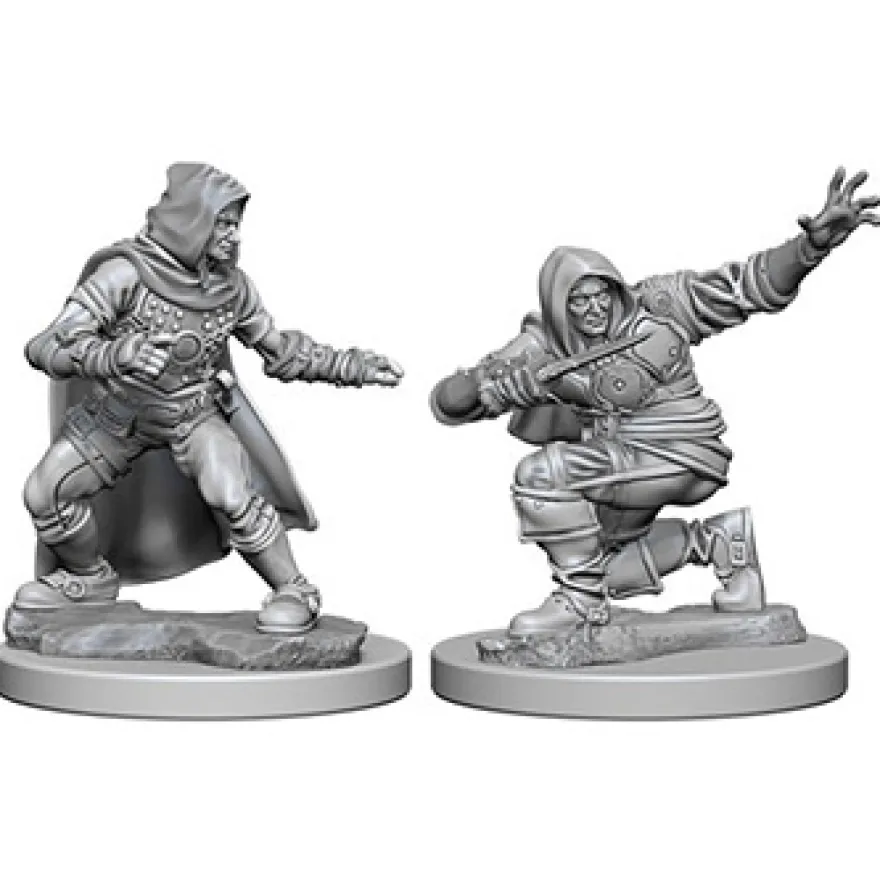 Pathfinder Deep Cuts Miniatures - Ladro Umano Maschio