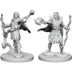 Pathfinder Deep Cuts Miniatures - Stregone Elfo Maschio