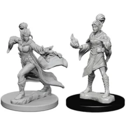 Pathfinder Deep Cuts Miniatures - Stregone Elfo Femmina