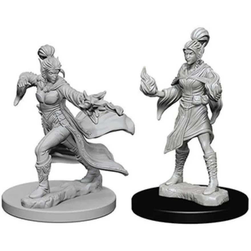 Pathfinder Deep Cuts Miniatures - Stregone Elfo Femmina