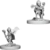 Pathfinder Deep Cuts Miniatures - Druido Gnomo Maschio