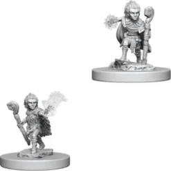 Pathfinder Deep Cuts Miniatures - Druido Gnomo Maschio