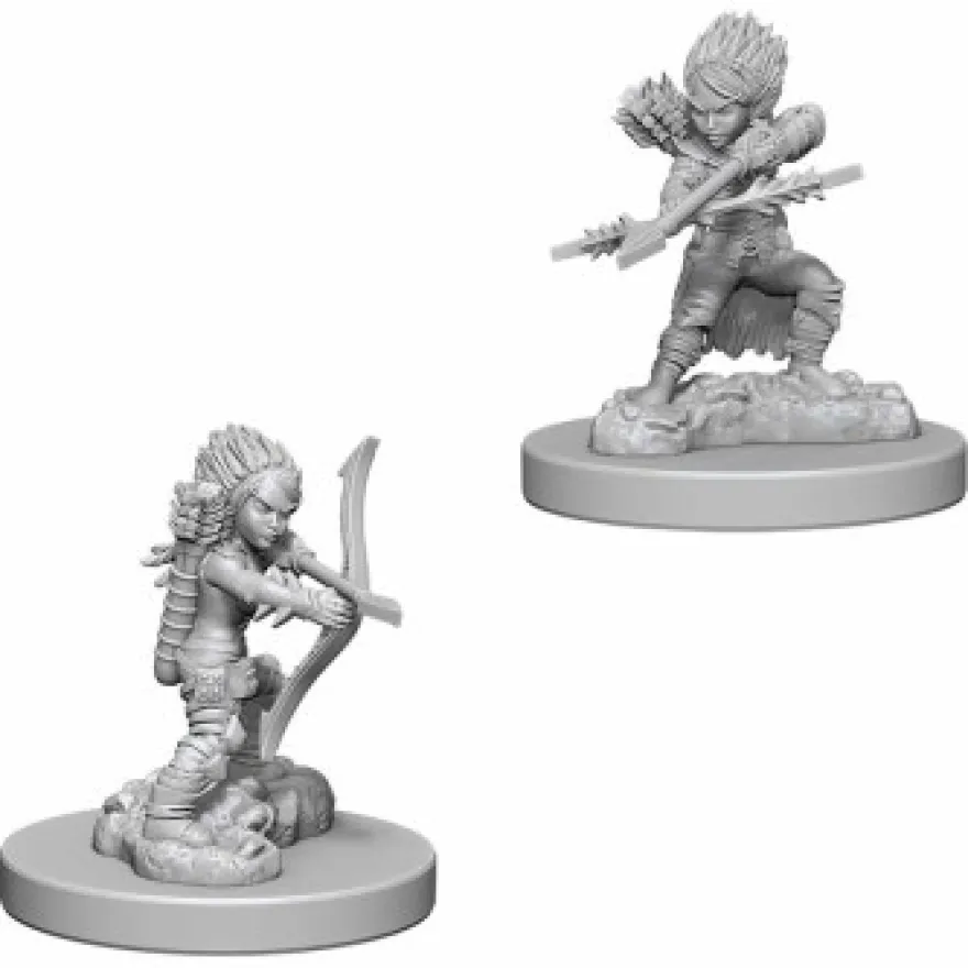 Pathfinder Deep Cuts Miniatures - Ladro Gnomo Femmina