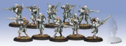 Retribution of Scyrah - Houseguard Riflemen (10)
