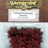 Segnalini dei Khador - Forward Kommander Sorscha