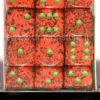 Set 36D6 Speckled - Fragola