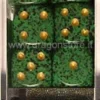 Set 12D6 Speckled - Recon Dorati