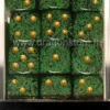 Set 36D6 Speckled - Recon Dorati