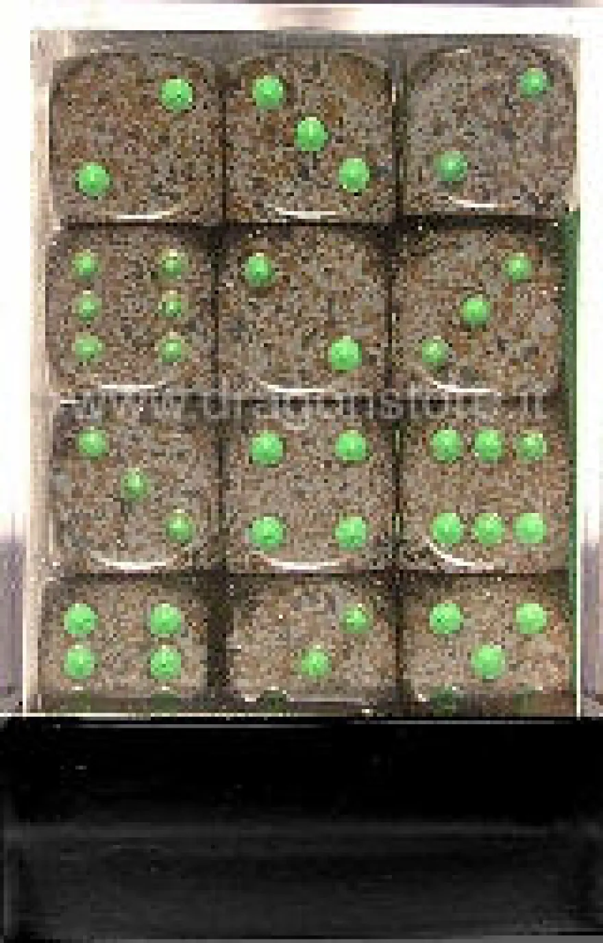 Set 36D6 Speckled - Terra