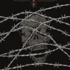 Sine Requie Anno XIII - Seconda Edizione